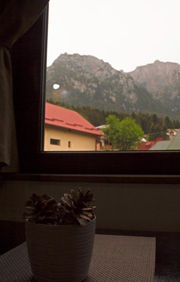 Apartament Mountain Life Busteni Exterior photo